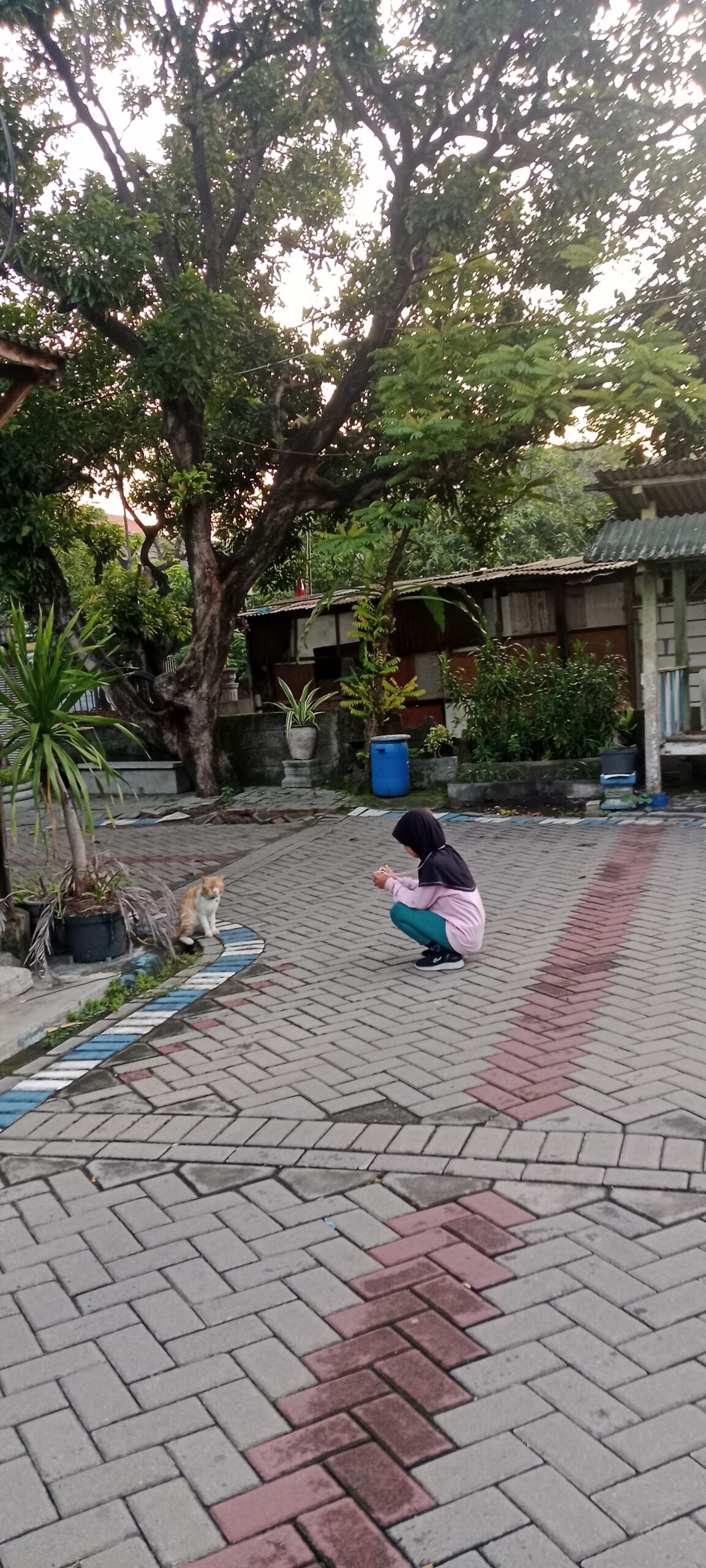 5 Cara Belajar Ekosistem Ala Anak Kinestetik